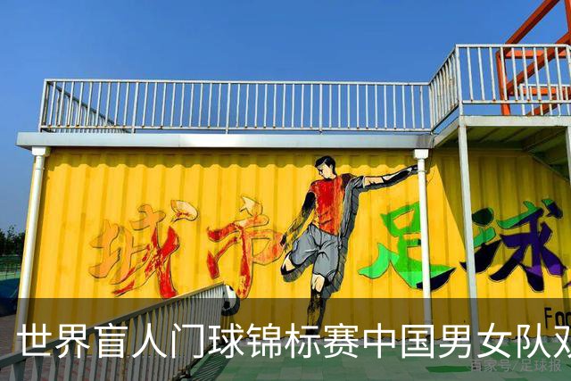 世界盲人门球锦标赛中国男女队双双夺冠