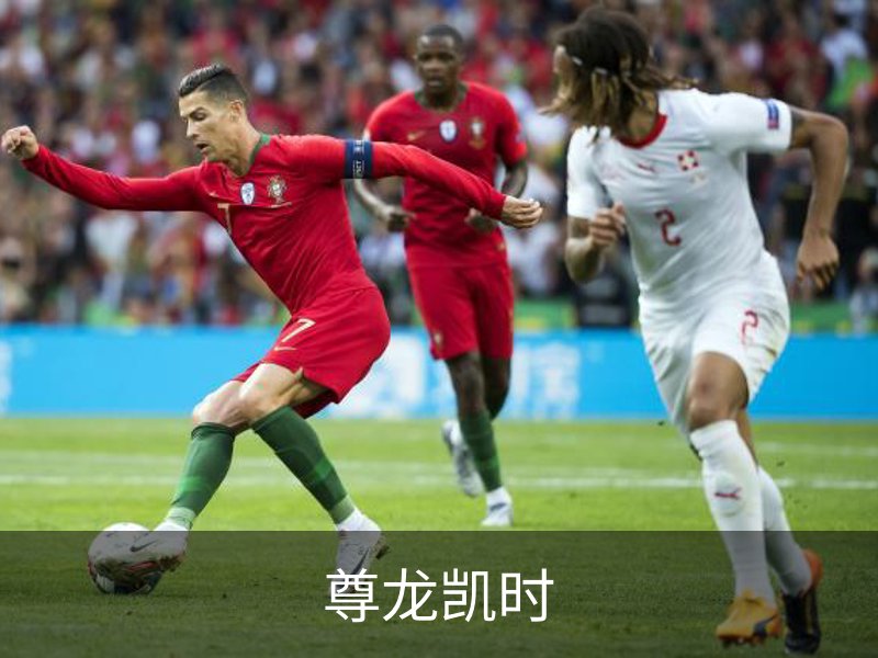 尊龙凯时简介